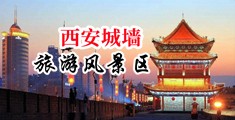 美女被大鸡巴操逼片中国陕西-西安城墙旅游风景区